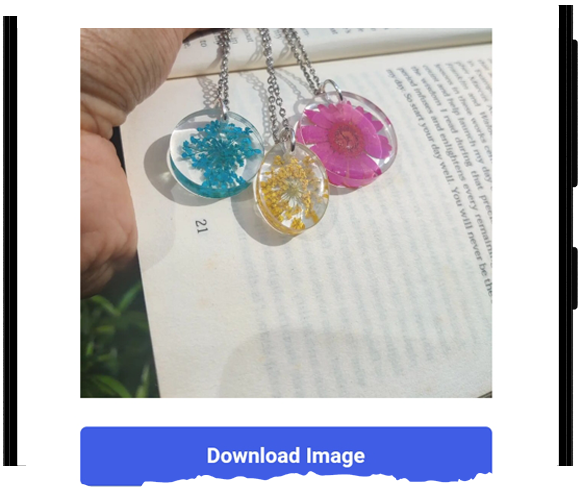 Instagram Post Viewer and Downloader