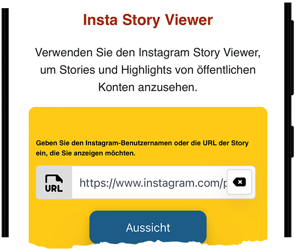 Kostenloser Instagram Story Viewer