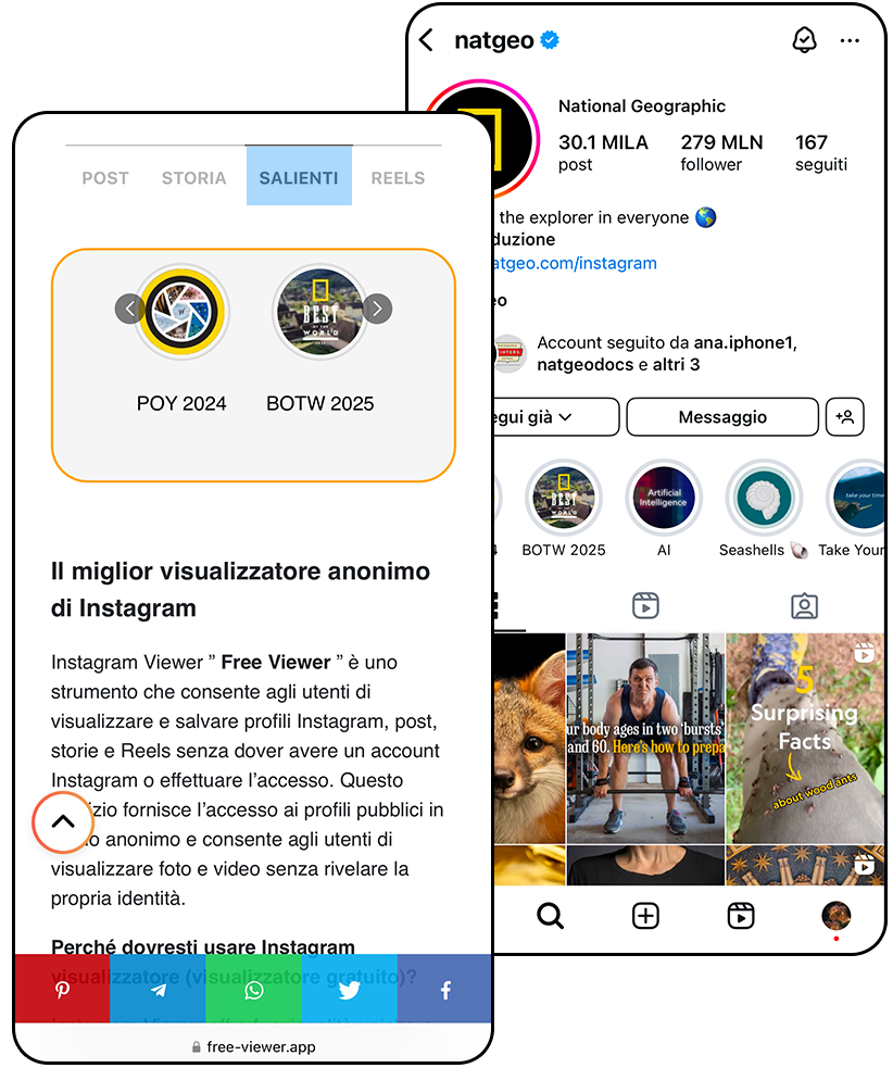 Visualizzatore di Instagram Highlights