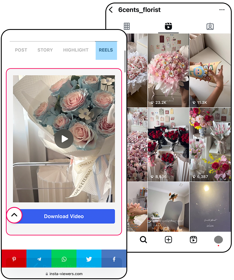 instagram reels viewer