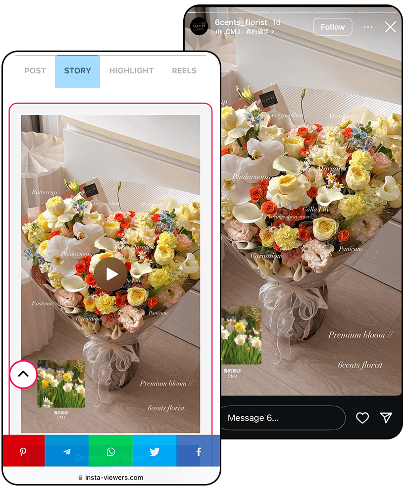instagram story viewer